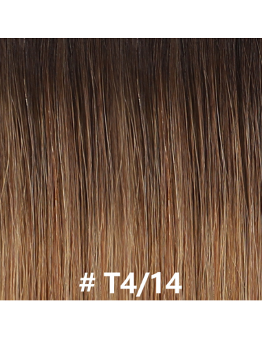 Premium Russian Hair Rett Hårvev T4/14 brillant des détails fins