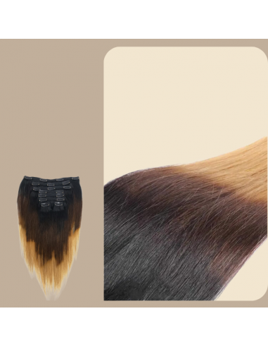 Straight Ombre Brown Chocolate Blonde Clip-In Extensions Kit 120 gr Venez acheter